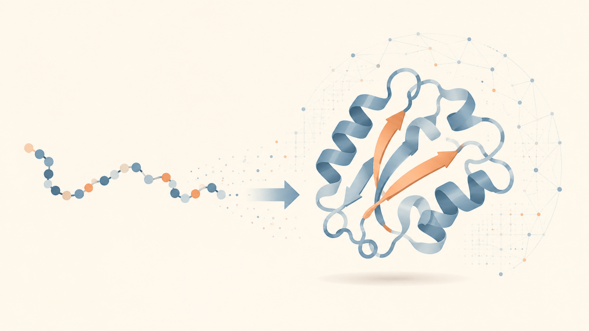 AlphaFold: la inteligencia artificial que predijo la forma de la&nbsp;vida